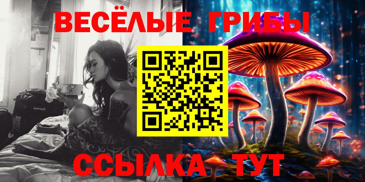 Псилоцибиновые грибы мухоморы Осинники